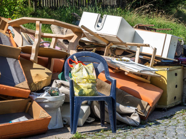 Best Furniture Removal Near Me  in Silver Springs, FL